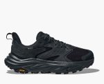 Anacapa 2 Low GTX